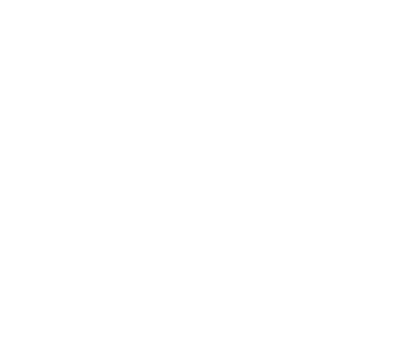 Icon 02 1