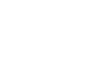 Icon 03 1