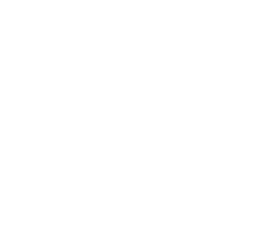 Icon 04