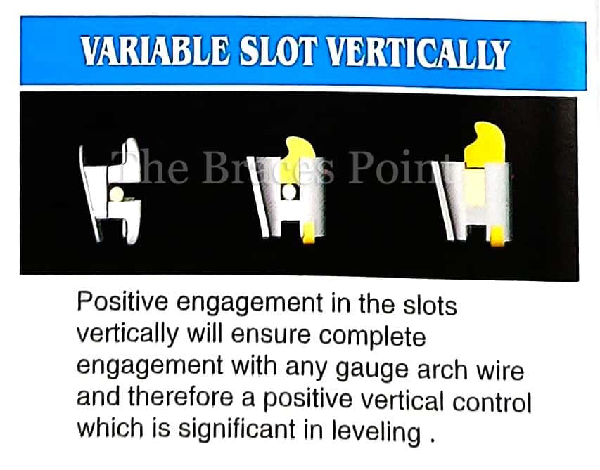Variable Slot Vertically